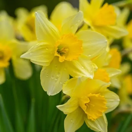 Spacious In The Heart Of !!! *