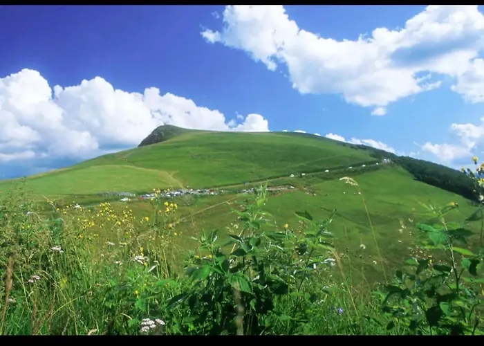 Spacious In The Heart Of !!! דירה