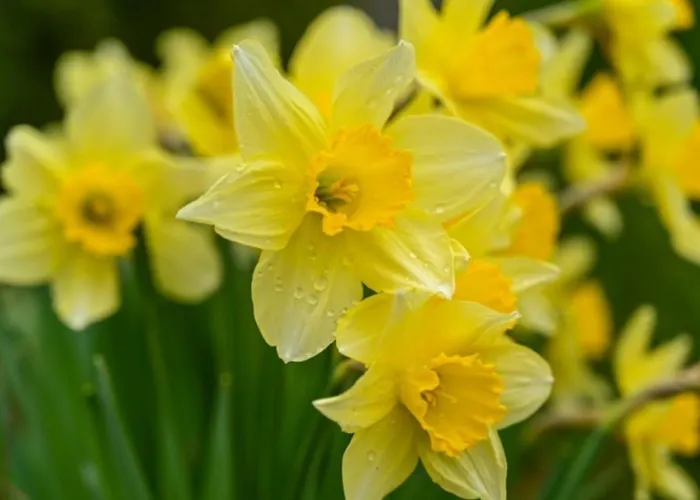 Spacious In The Heart Of !!! *